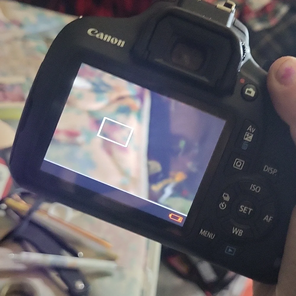 Canon